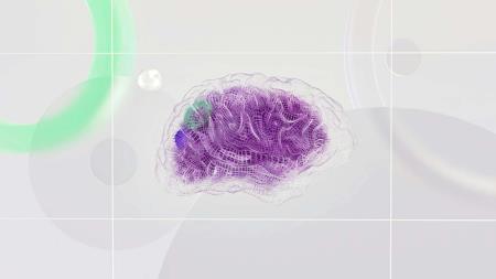 Cognition: A bit of brain science 